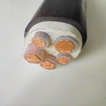 國(guó)標(biāo)銅芯W(wǎng)DZN-YJY低煙無(wú)鹵電線(xiàn)電纜阻燃耐火2～4芯2.5 4～240平方